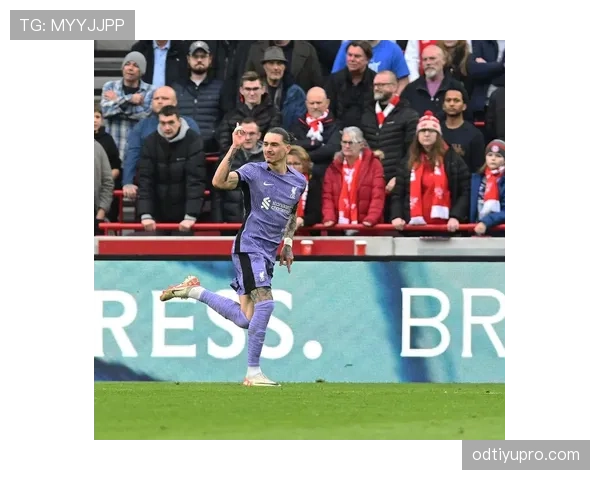 努涅斯在英超的战术适配困境与角色定位挑战